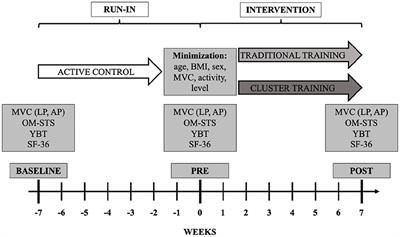 Similar strength gains at lower perceived efforts via cluster set vs. traditional home-based online training: A 6 weeks randomized controlled trial